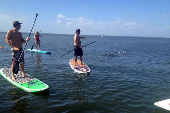 Stand up paddle with dolphins near Cocoa Beach, FL