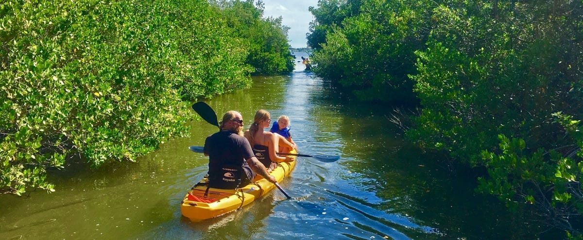 Manatee Kayak Tour on the Banana River Aquatic Preserve
