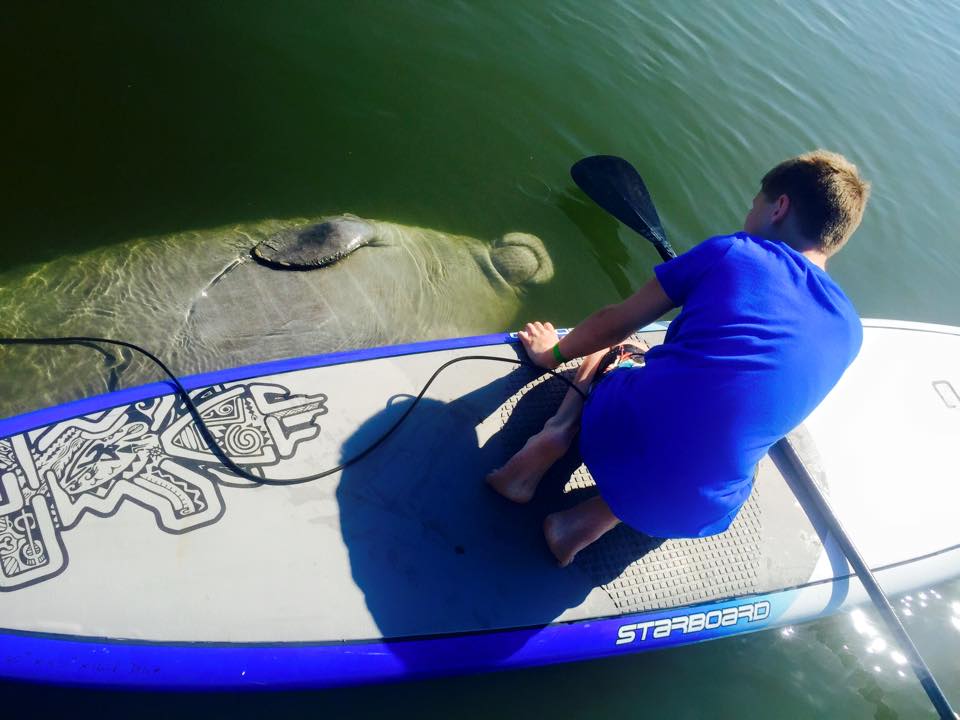 Manatee Nature Tours Merritt Island Cocoa Beach Orlando standup paddle board tours kayak tours sobesurf