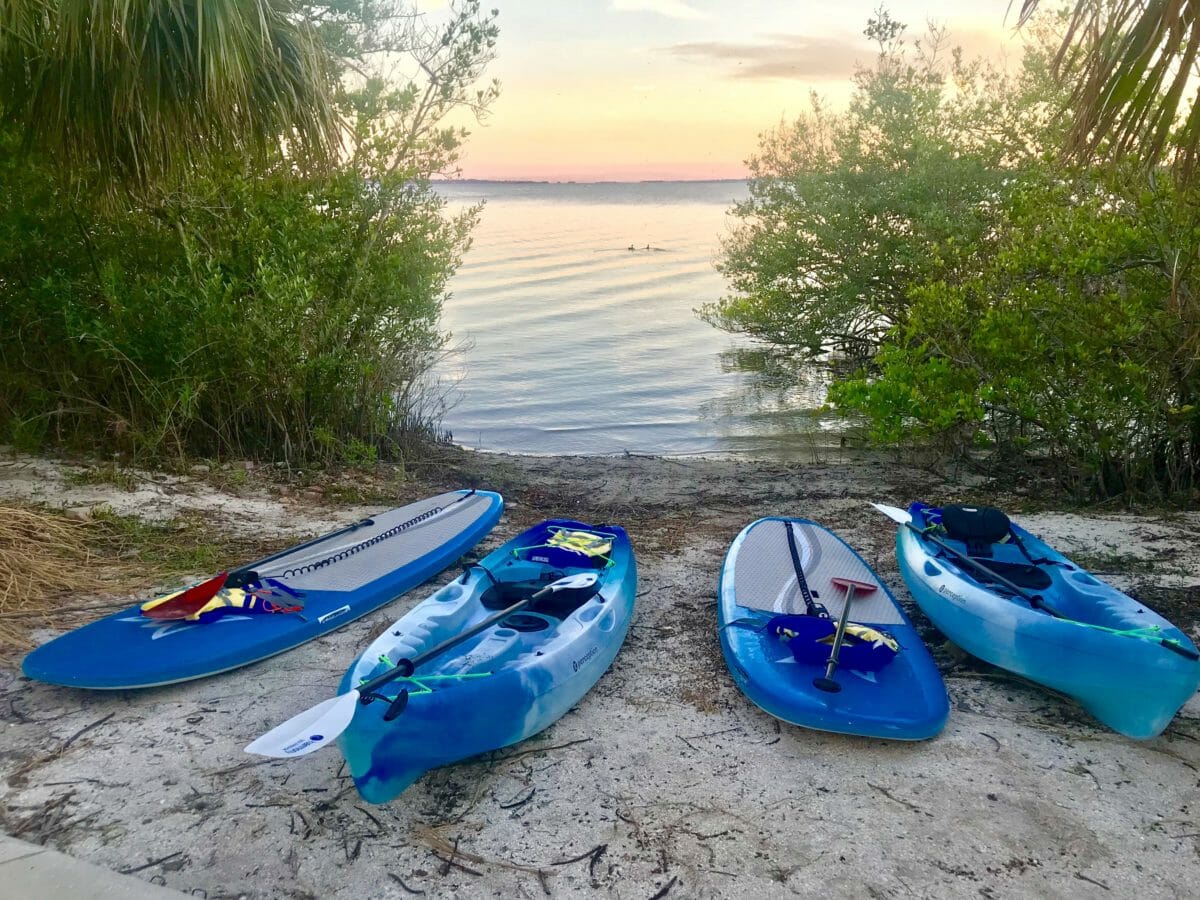 Miami: Kayak or SUP Island and Wildlife Tour 2024